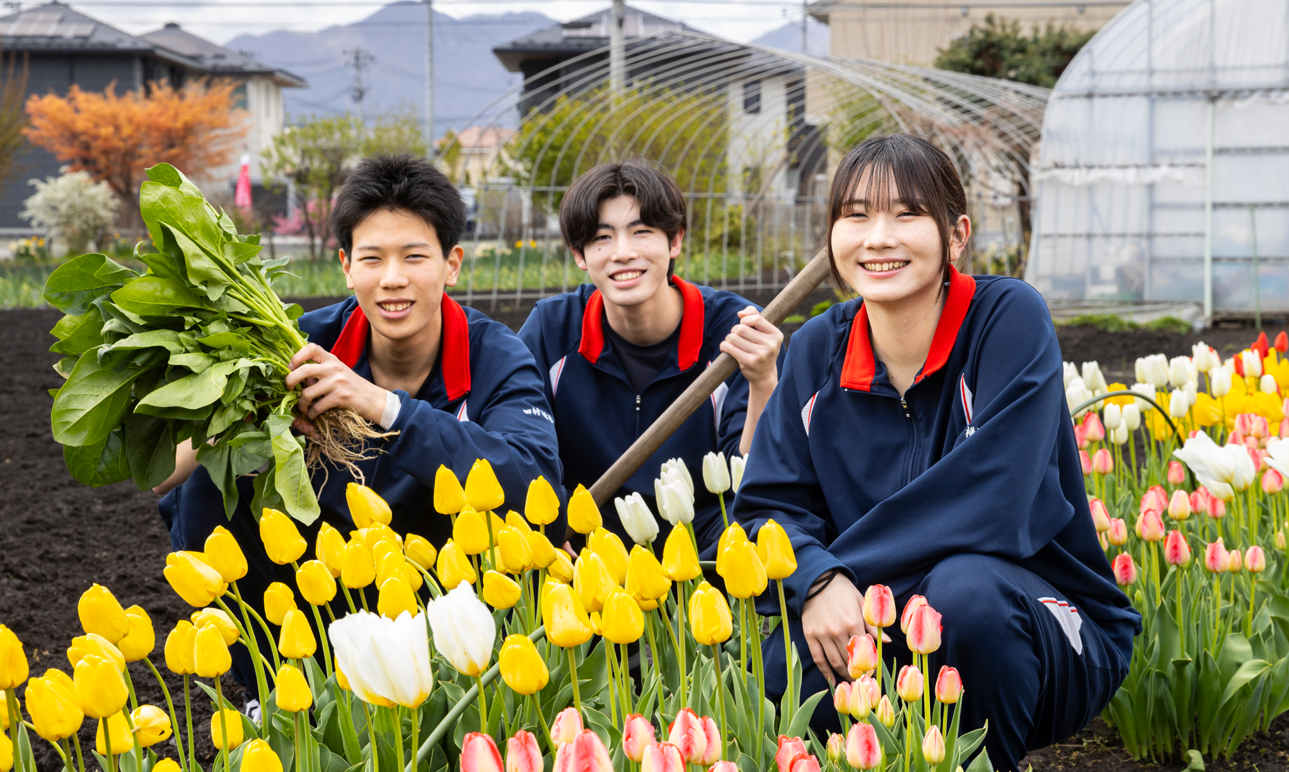農業のメインビジュアル