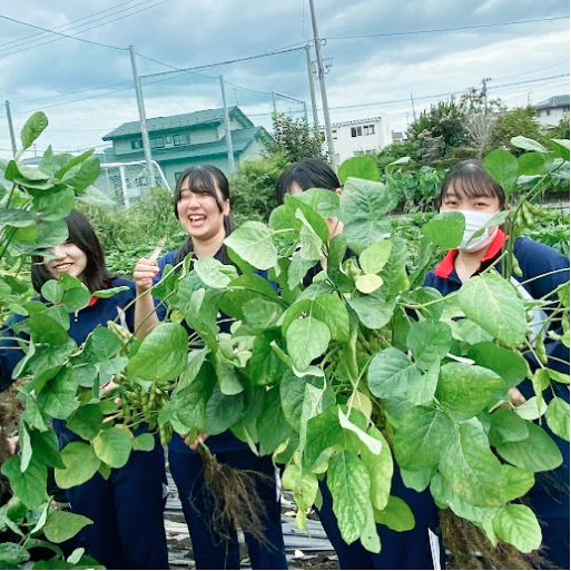 農場で採れた野菜と学生の写真